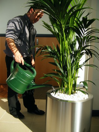 servicing of a stainless floor plant display